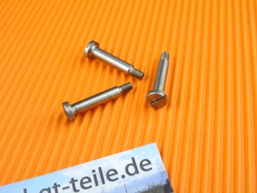 Screw set for horn contact