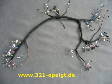 Wiring harness instruments, new