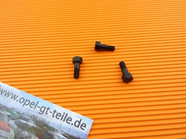 Schrauben Schwenkmechanik hochfest 10.9