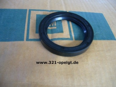 Simmerring Hinterachse