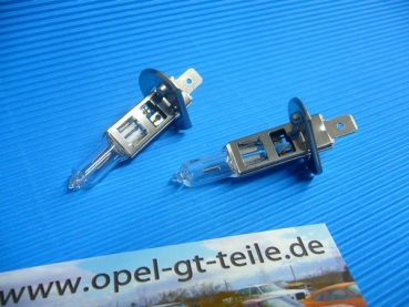 Satz Birnen Fernscheinwerfer