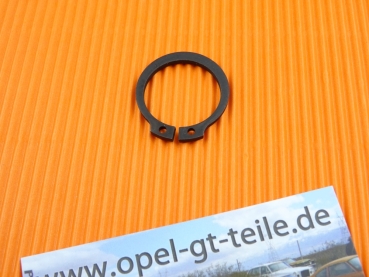 Seegerring Hinterachse
